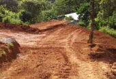 Land For Sale In Madawala Ulpotha Matale