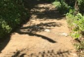 LAND FOR SALE(URGENT)