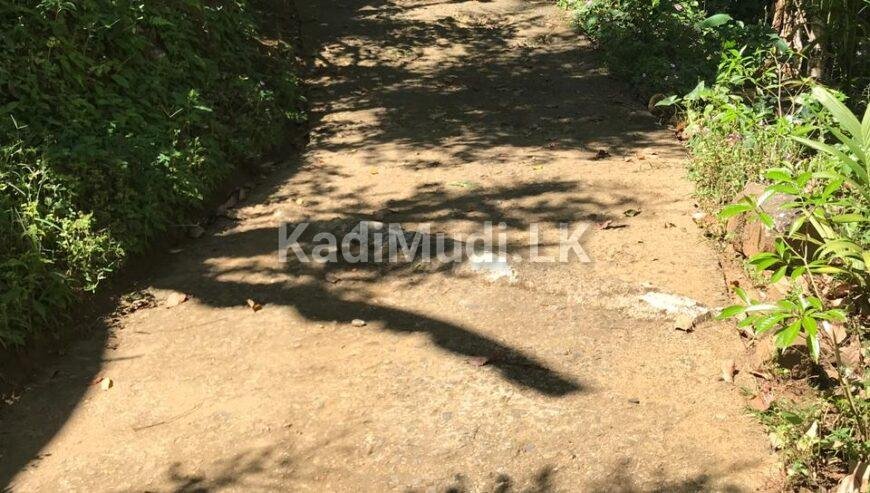 LAND FOR SALE(URGENT)