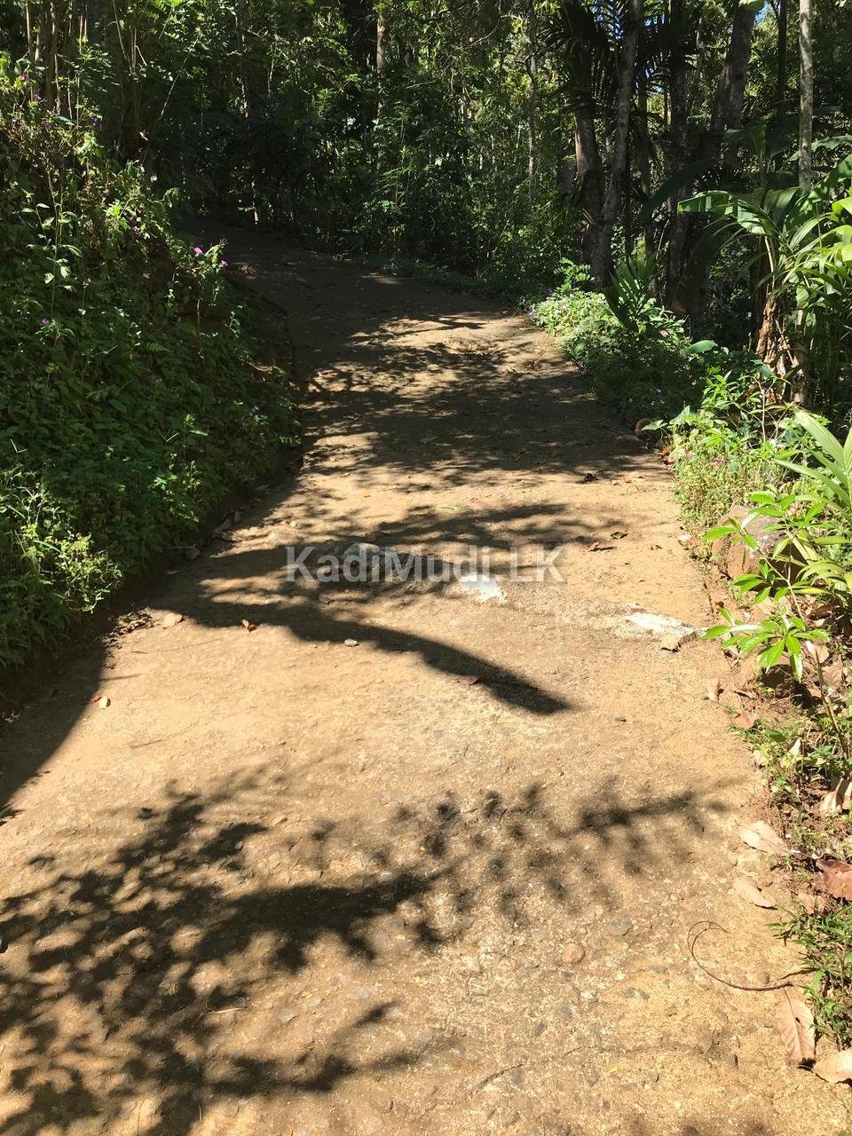 LAND FOR SALE(URGENT)