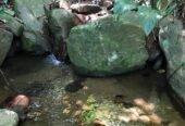 LAND FOR SALE(URGENT)