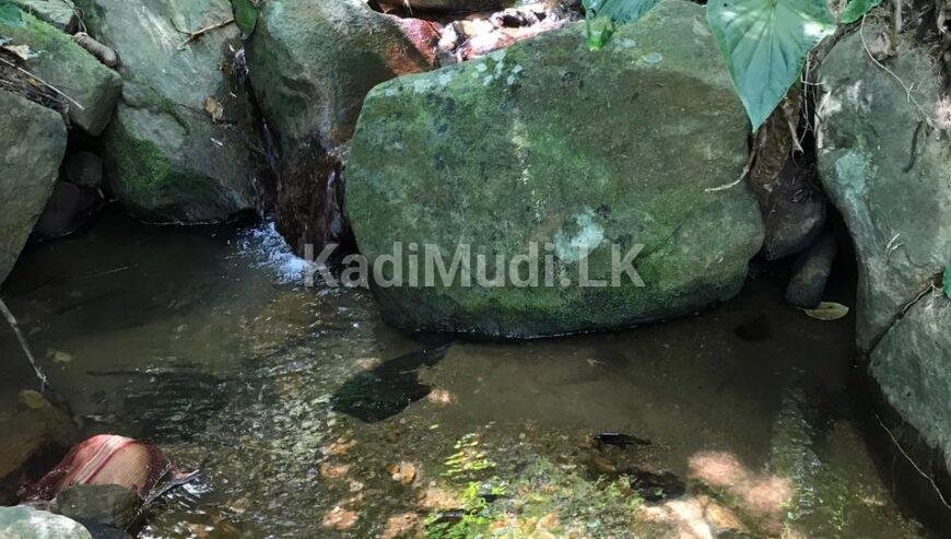 LAND FOR SALE(URGENT)