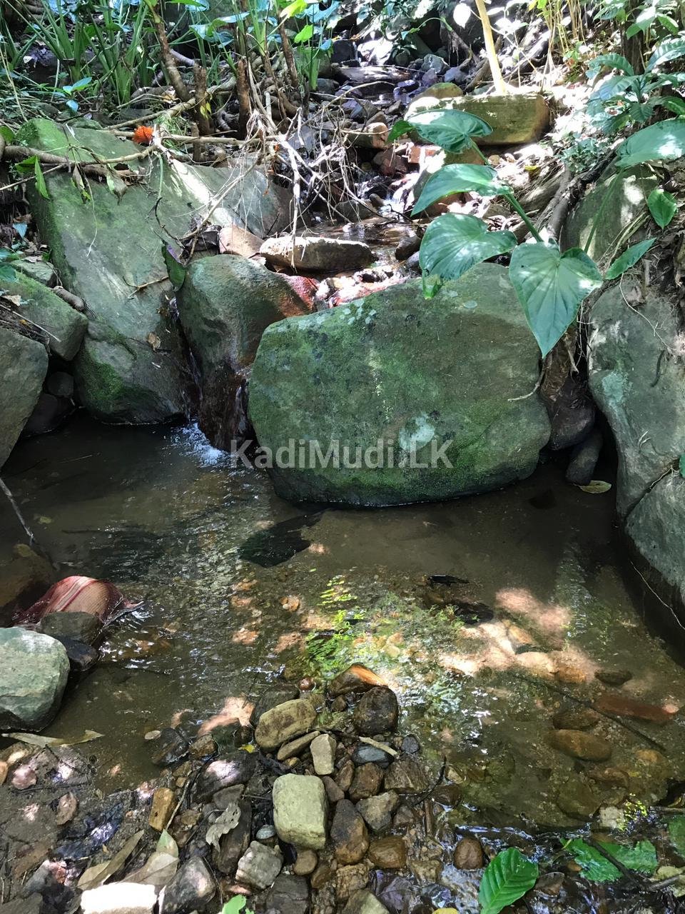 LAND FOR SALE(URGENT)