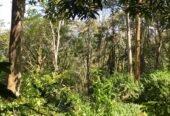 LAND FOR SALE(URGENT)