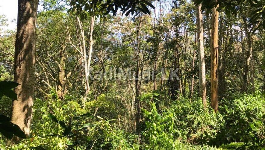 LAND FOR SALE(URGENT)
