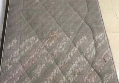 WhatsApp-Image-2023-01-28-at-11.06.46