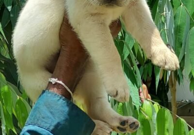 f7013331-775d-4391-b0e8-b062ddf27a7e