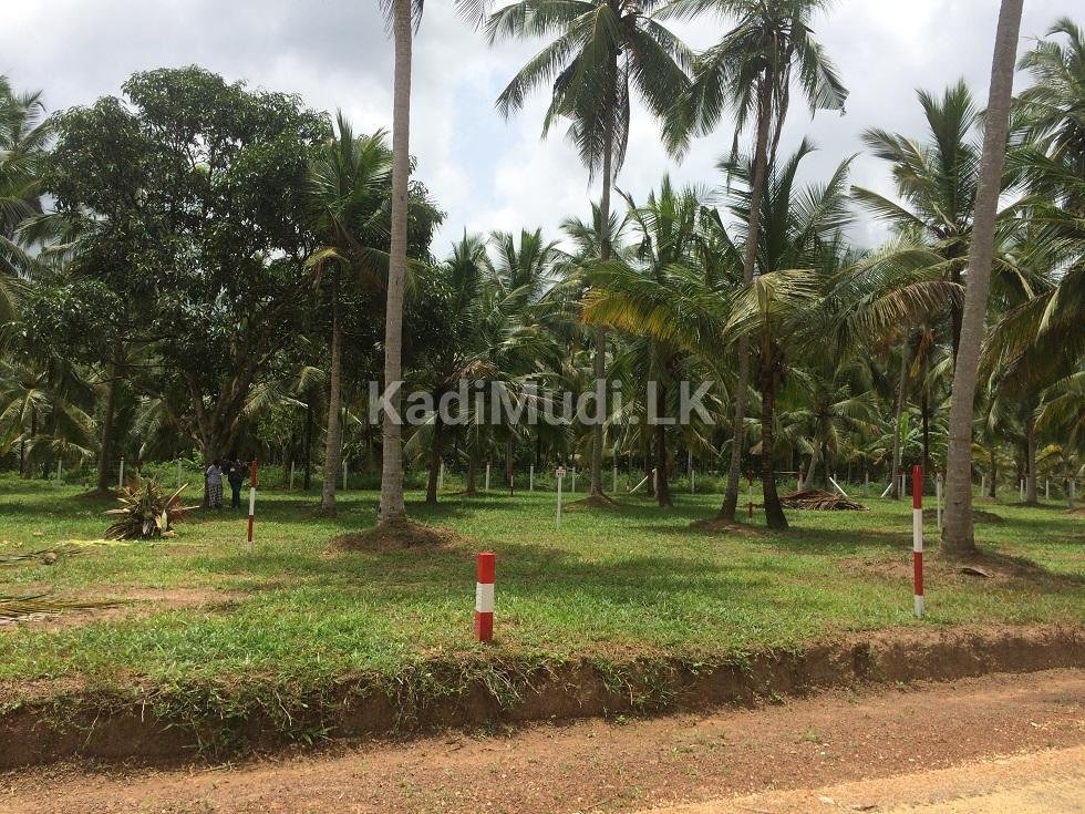 පන්නල, ඇලබඩගම, බම්මන්න පාරේ, පර්චස් 32 ඉඩම විකිනීමට