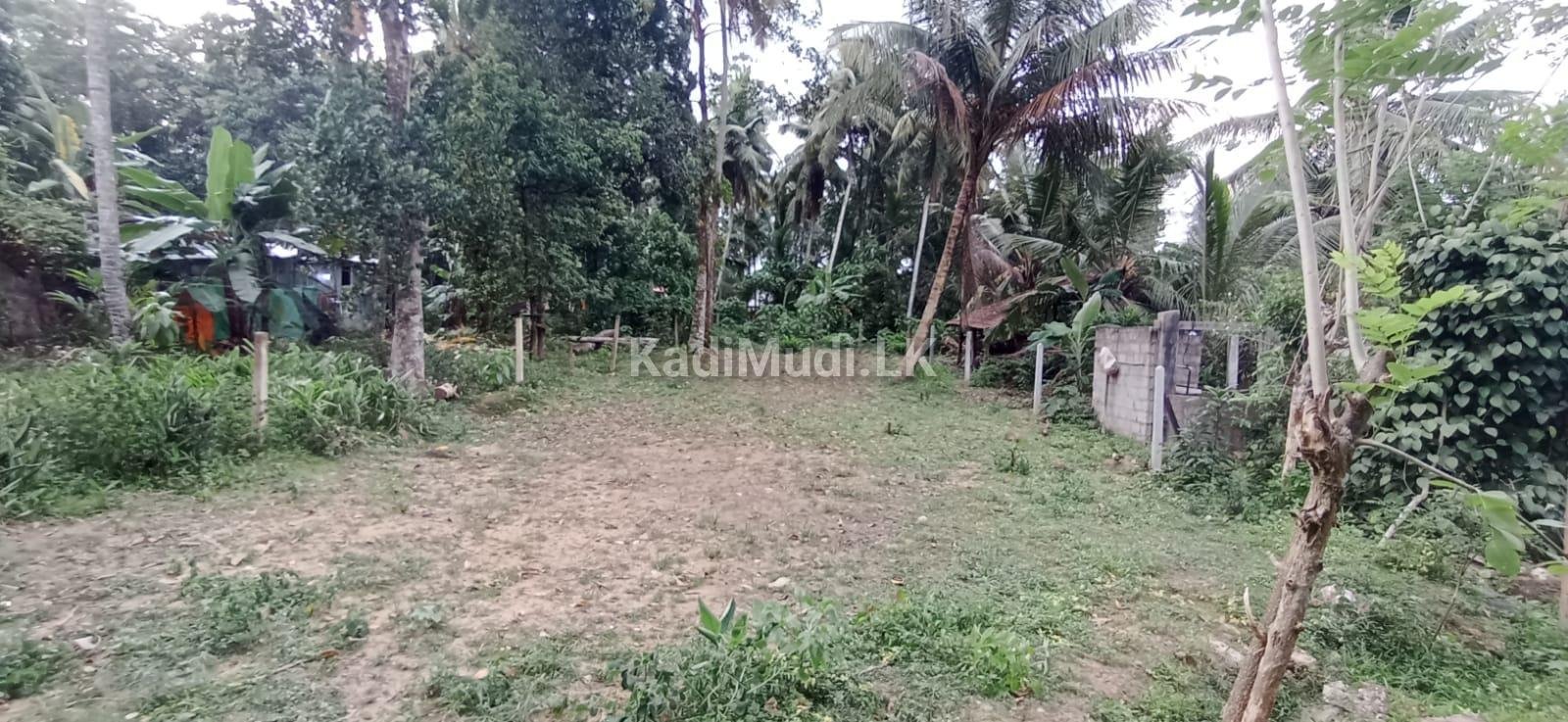 Land for Sale in Homagama. හෝමාගම පර්චස් 10ක අගනා