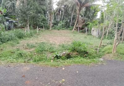 IMG-20230721-WA0013