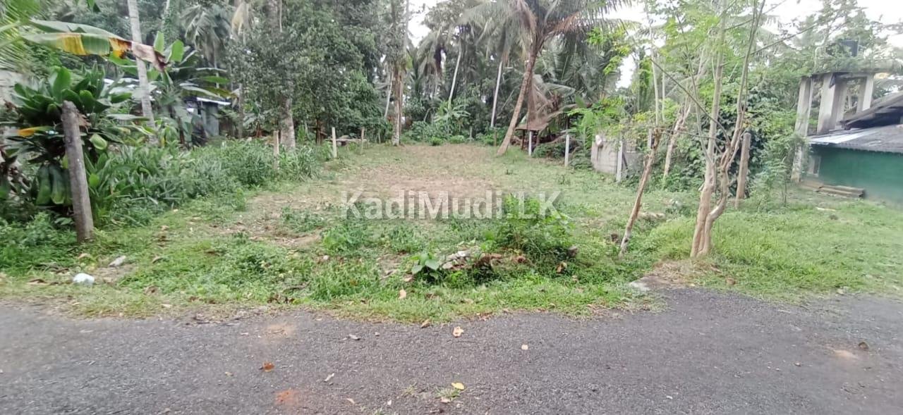 Land for Sale in Homagama. හෝමාගම පර්චස් 10ක අගනා