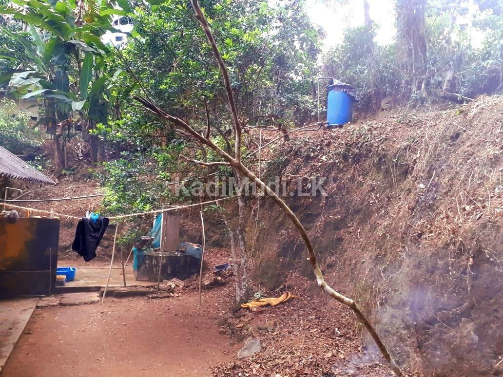 Land for Sale Palolpitiya Matara