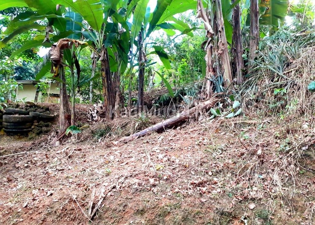 Land for Sale Palolpitiya Matara