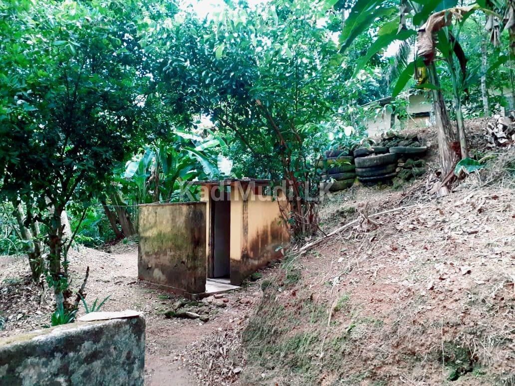 Land for Sale Palolpitiya Matara