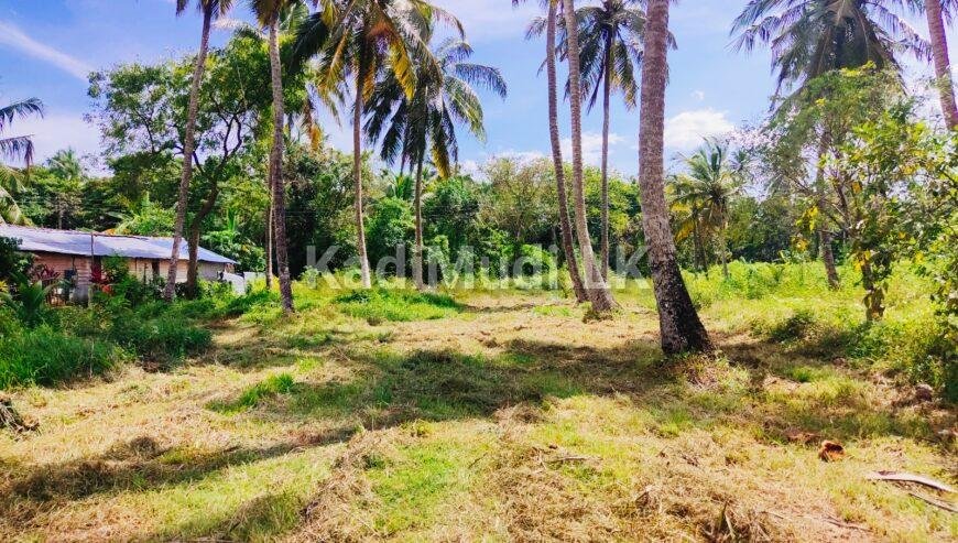 Land For Sale In MARAWILA