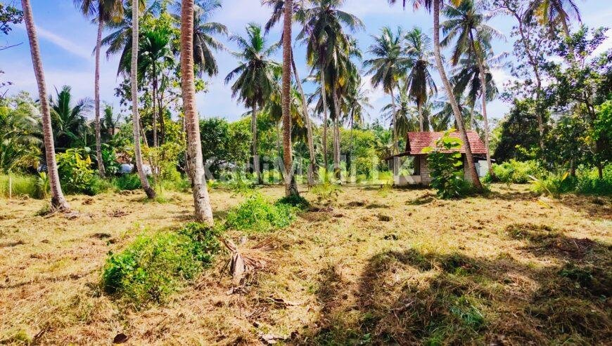 Land For Sale In MARAWILA