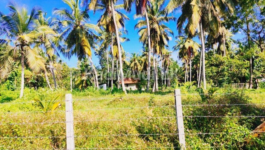 Land For Sale In MARAWILA