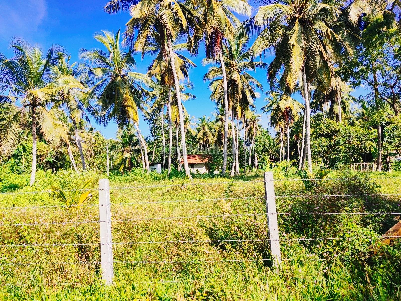 Land For Sale In MARAWILA