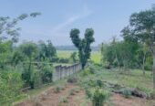 Land sale in Tangalle