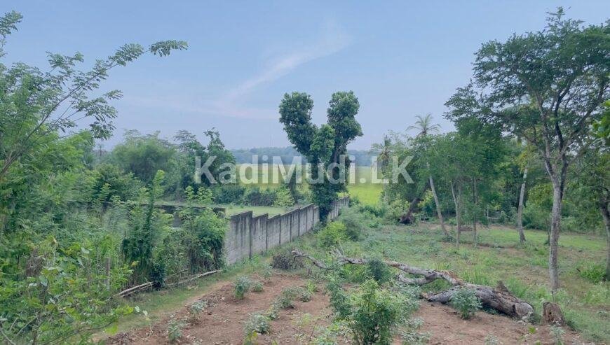 Land sale in Tangalle