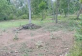 Land sale in Tangalle