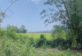 Land sale in Tangalle