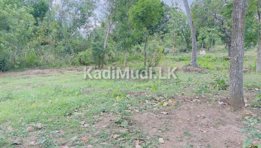 Land sale in Tangalle