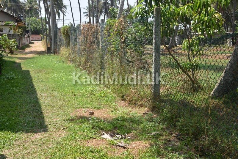 දුන්ගාල්පිටිය පර්.20 සමග පැරණි නිවස විකිණීමට