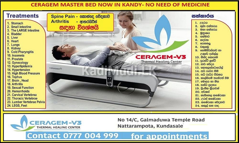 දිගු හා කෙටි කාලීන රෝග නිවාරණය කර ගැනීම සඳහා…..