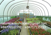 Transparent polycarbonate canopy-0717135153