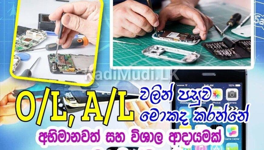 After OL/ AL Phone CCTV Laptop repairing course