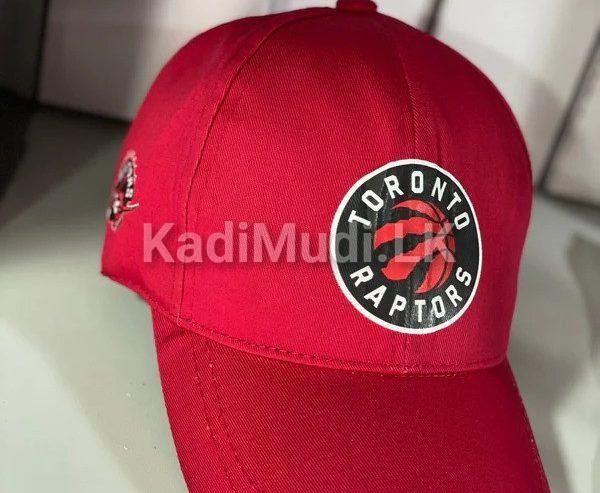 Toronto Raptors Logo Cap – The Mugshot