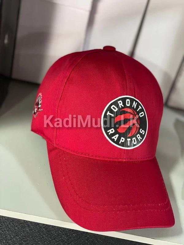 Toronto Raptors Logo Cap – The Mugshot