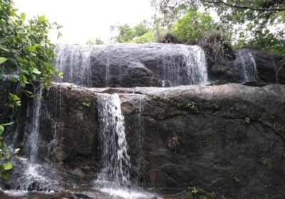 WhatsApp-Image-2025-02-06-at-22.33.05_dc6c02c3