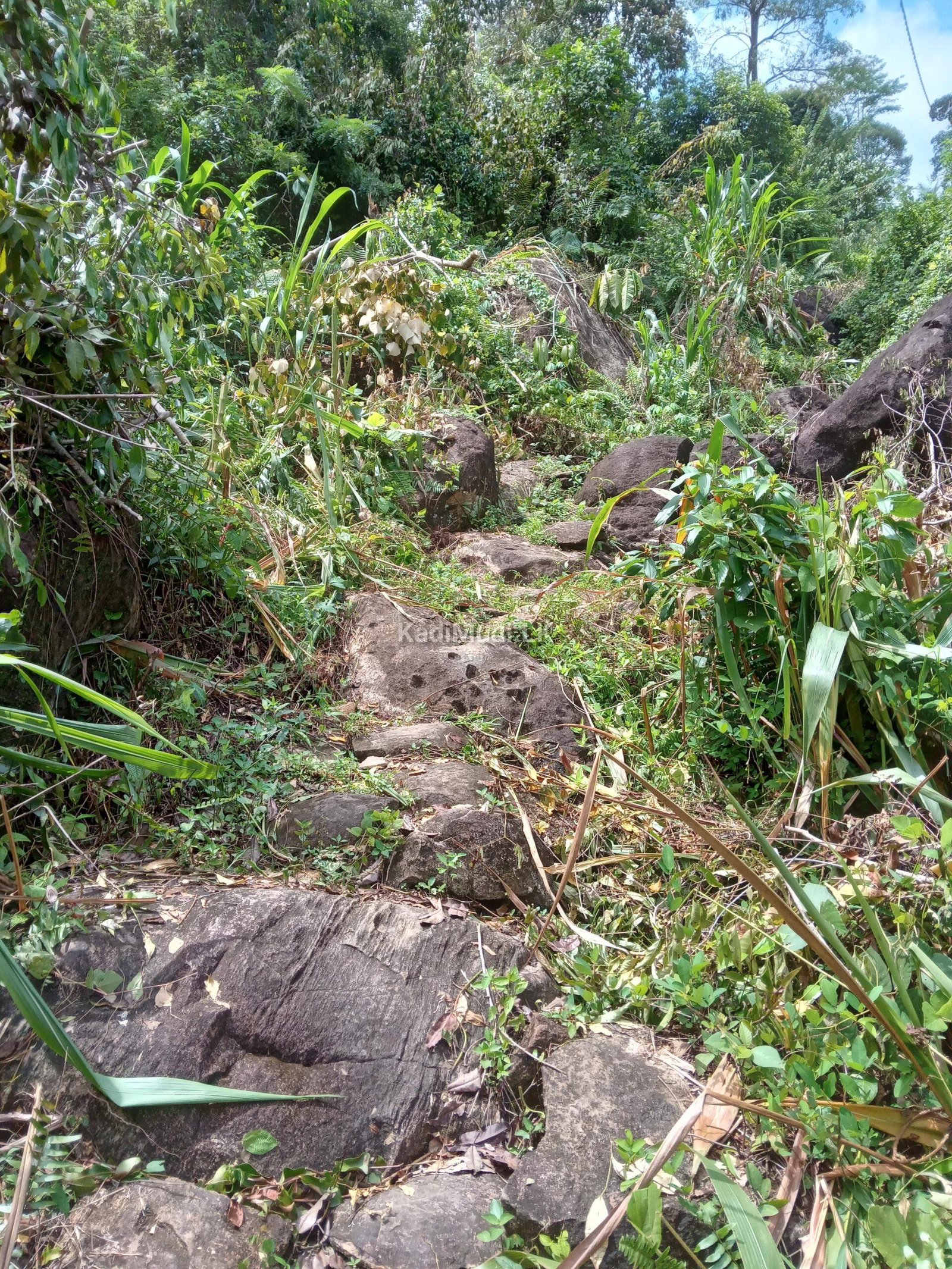 Invest in Rewarding Business Ventures in Sri Lanka