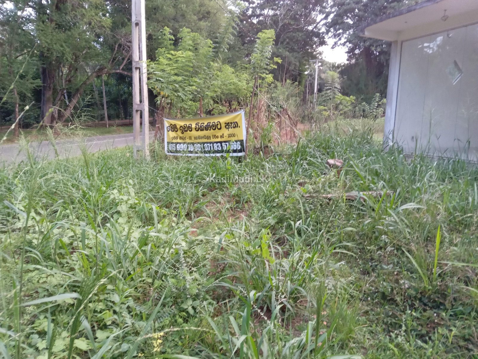 Opportunity to Invest in a Business at Nalanda