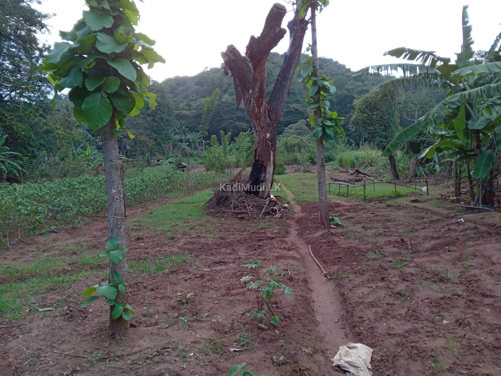 Opportunity to Invest in a Business at Nalanda