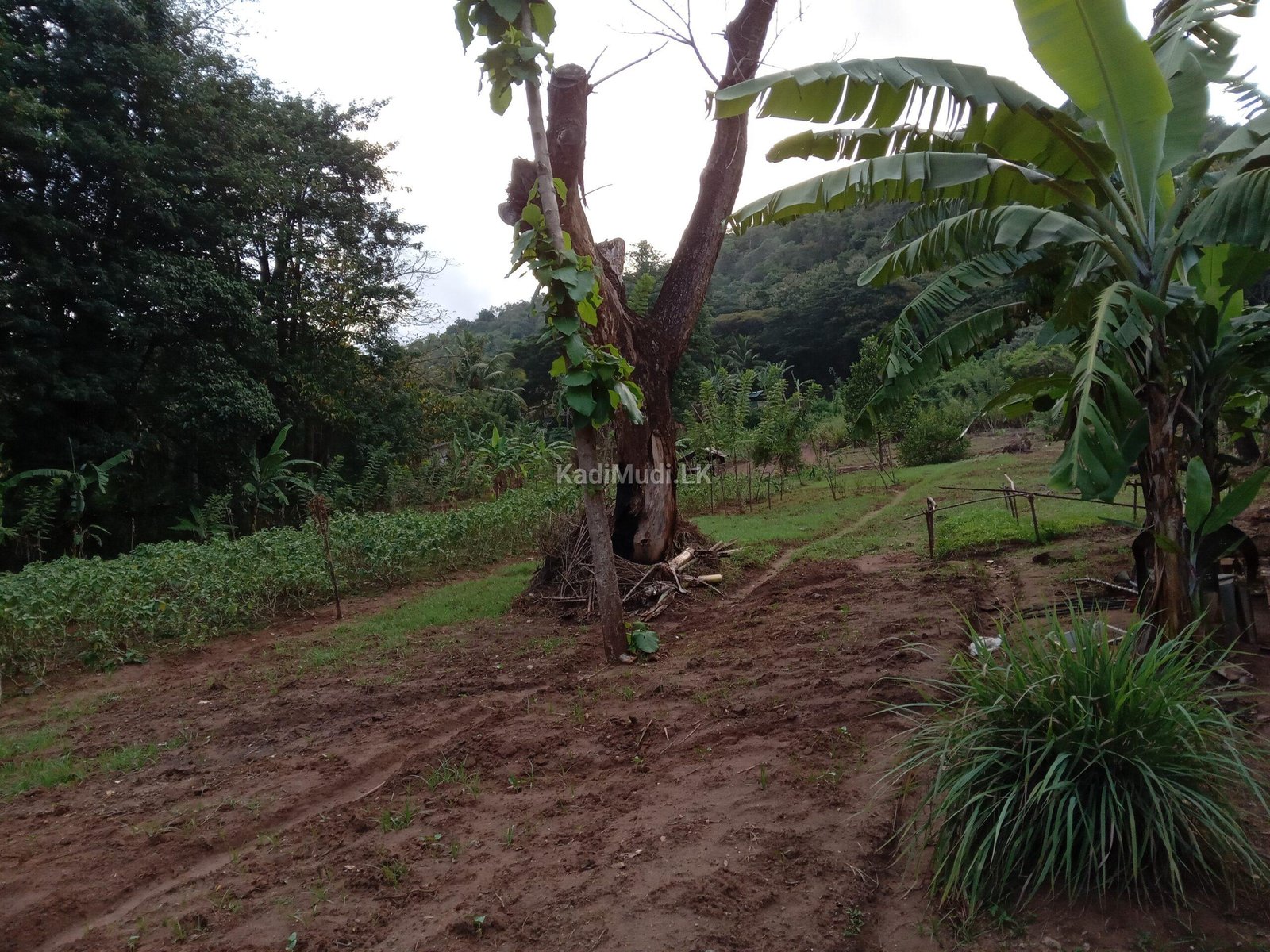 Opportunity to Invest in a Business at Nalanda