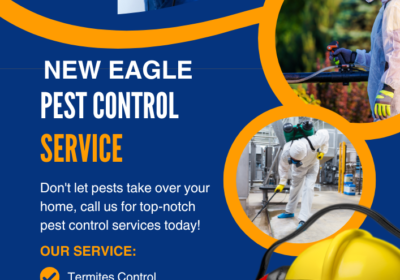 best-pest-control-Sri-Lanka