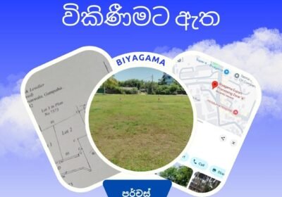 Blue-and-White-Professional-Your-Own-Land-Instagram-Post-2