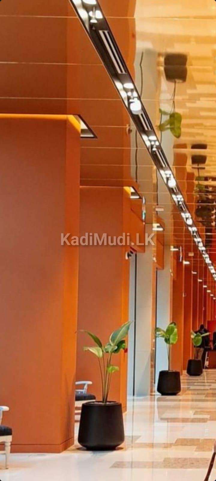 Commercial-Grade Fiberglass Planters in Sri Lanka