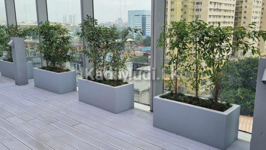 Commercial-Grade Fiberglass Planters in Sri Lanka