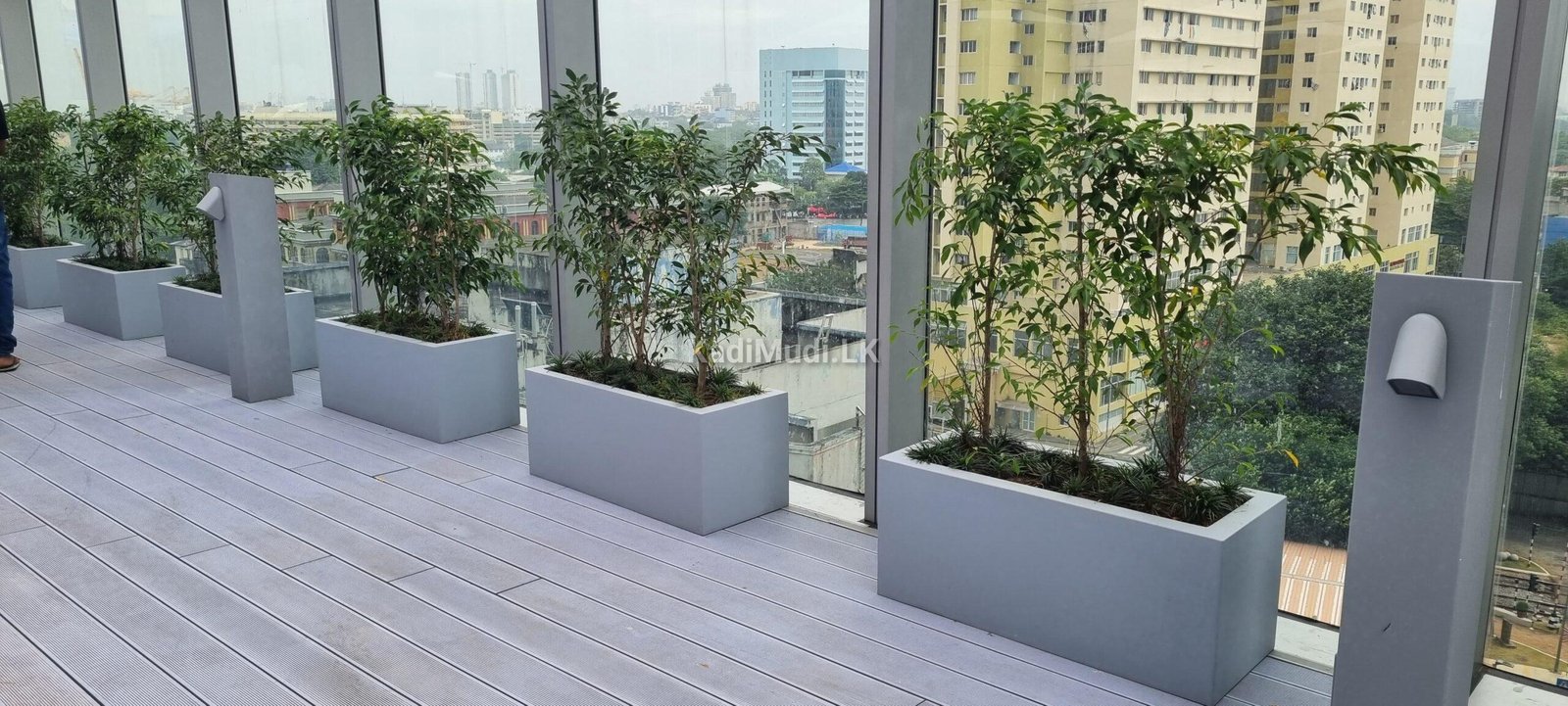 Commercial-Grade Fiberglass Planters in Sri Lanka