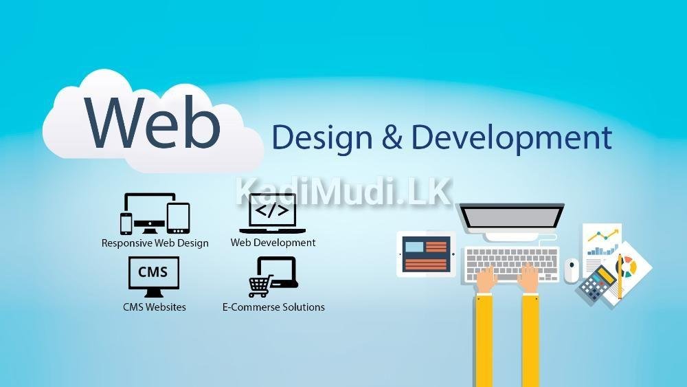 Website Design & Development
