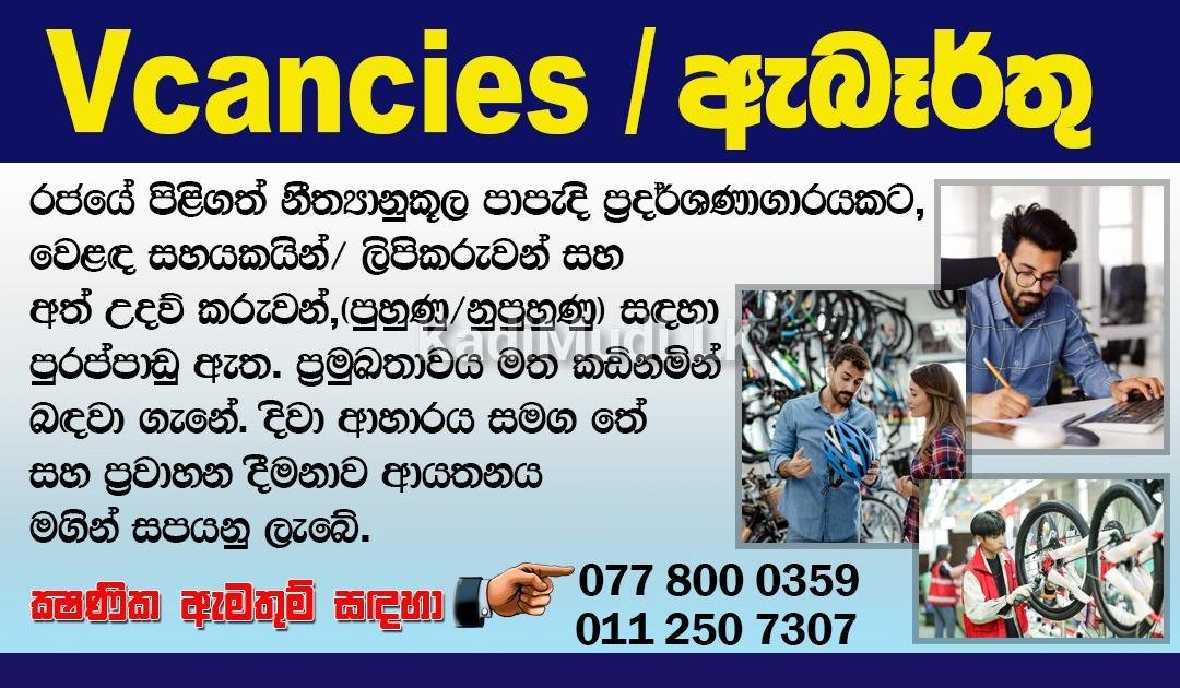 Heavy Vehicle Drivers