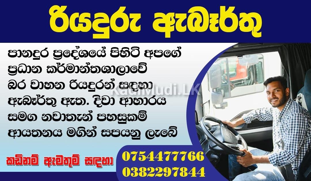 Heavy Vehicle Drivers