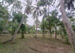 Land for sale in Marawila