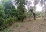 Land for sale in Marawila